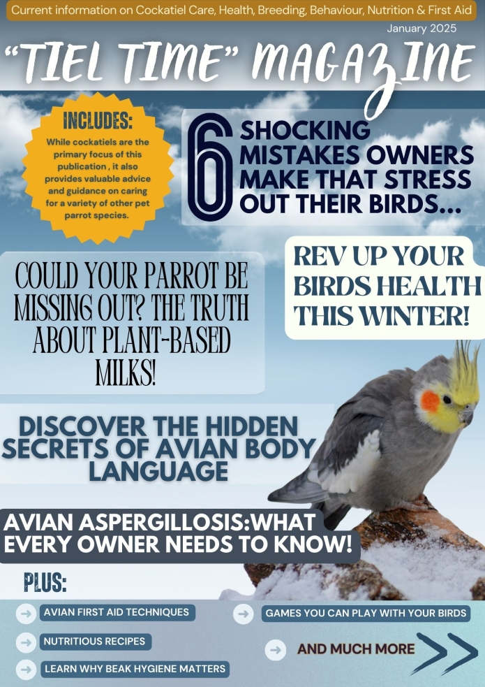 Tiel Time edition 5